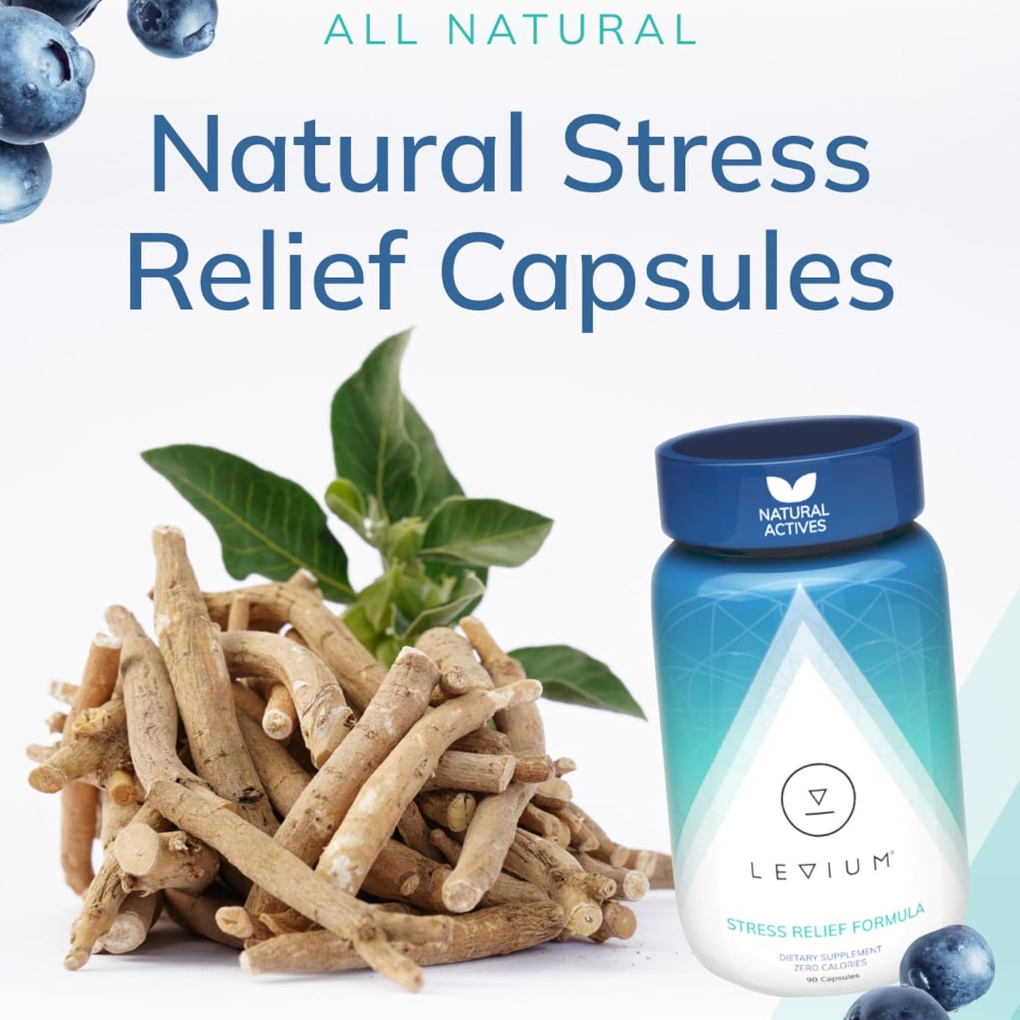 Levium Calming Stress Relief Vitamin Supplement | Natural Mood Boosting Capsules | 90 Count Bottle – 30 Day Supply