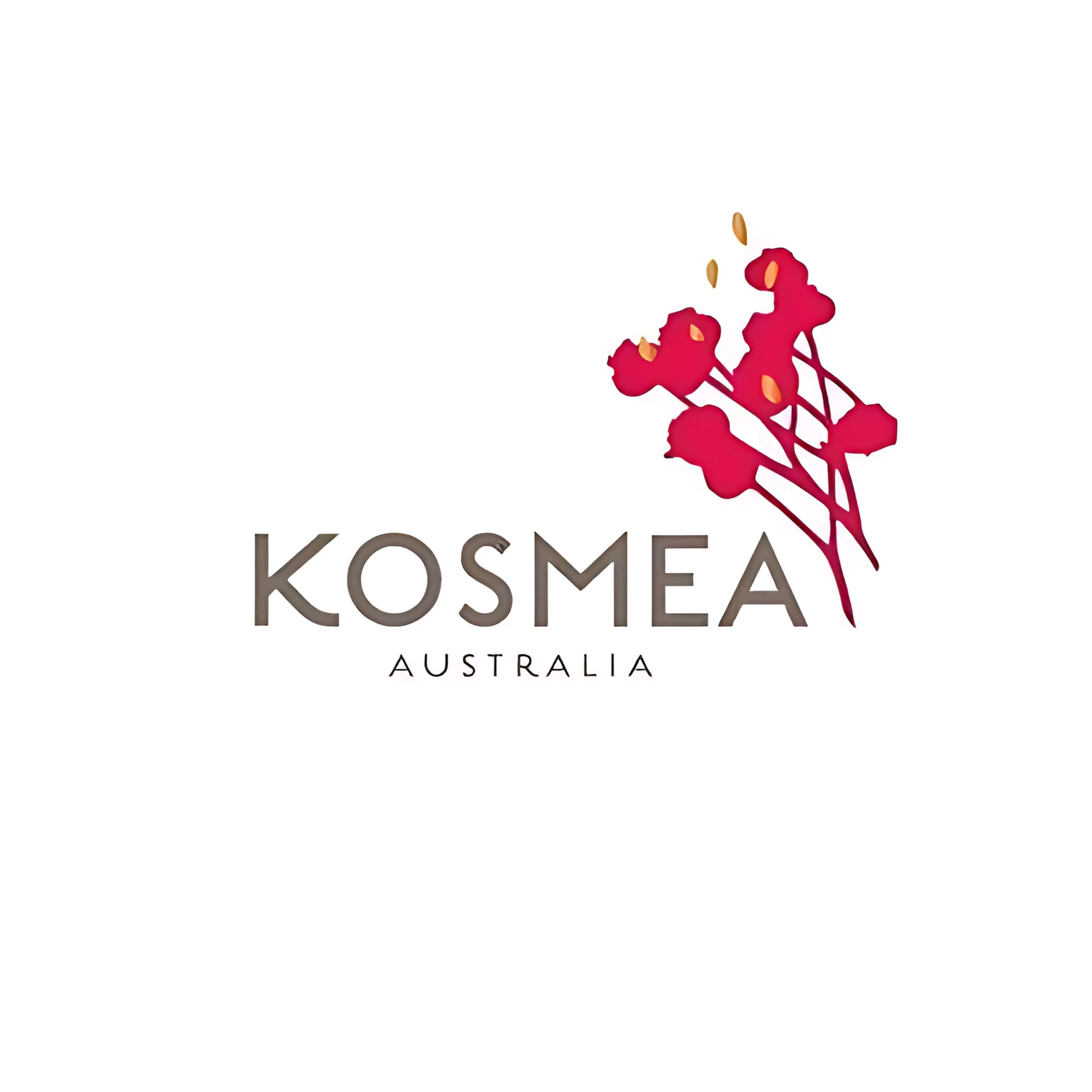 Kosmea