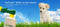 BioTurf BioS+ Artificial Turf Grass Concentrate Enzyme Cleaner and Pet Odor Eliminator - Removes Odors and Sanitizes - Organic, Safe, Environmentally Responsible (1 Gallon) - Original Scent