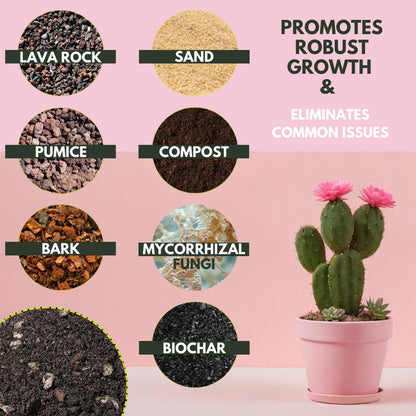 The Soil Sage Hand-Blended Cactus & Succulent Soil Mix 5Qt - Fast Draining Potting Mix with Mycorrhizae Fungi - Ideal for Echeveria, Aloe, Jade - Indoor Outdoor Plants - Made in U.S.A.