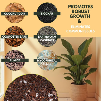 Soil Sage Houseplant Soil - Well-Draining Potting Mix for Indoor Plants - Coconut Coir, Composted Bark, Pumice & Mycorrhizae for Strong Roots & Growth - Made in U.S.A.