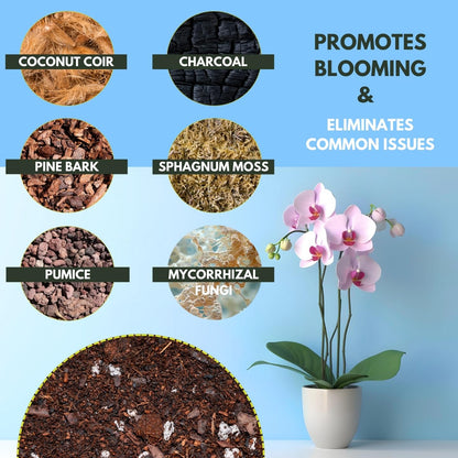 Soil Sage Premium Orchid Potting Mix - 5 qt. U.S.A. Made Orchid Soil Blend with Pine Bark, Sphagnum Moss, Charcoal, Coconut Coir, Pumice, & Mycorrhizae for Healthy Roots - Improved Drainage & Blooms