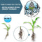 Fish Head Farms Organic Soil Conditioner - Organic Fertilizer for Increased Yield and Flavor - Plant Fertilizer, Plant Nutrients for Soil, Soilless, Hydroponic Farming - Garden Fertilizer - 10L