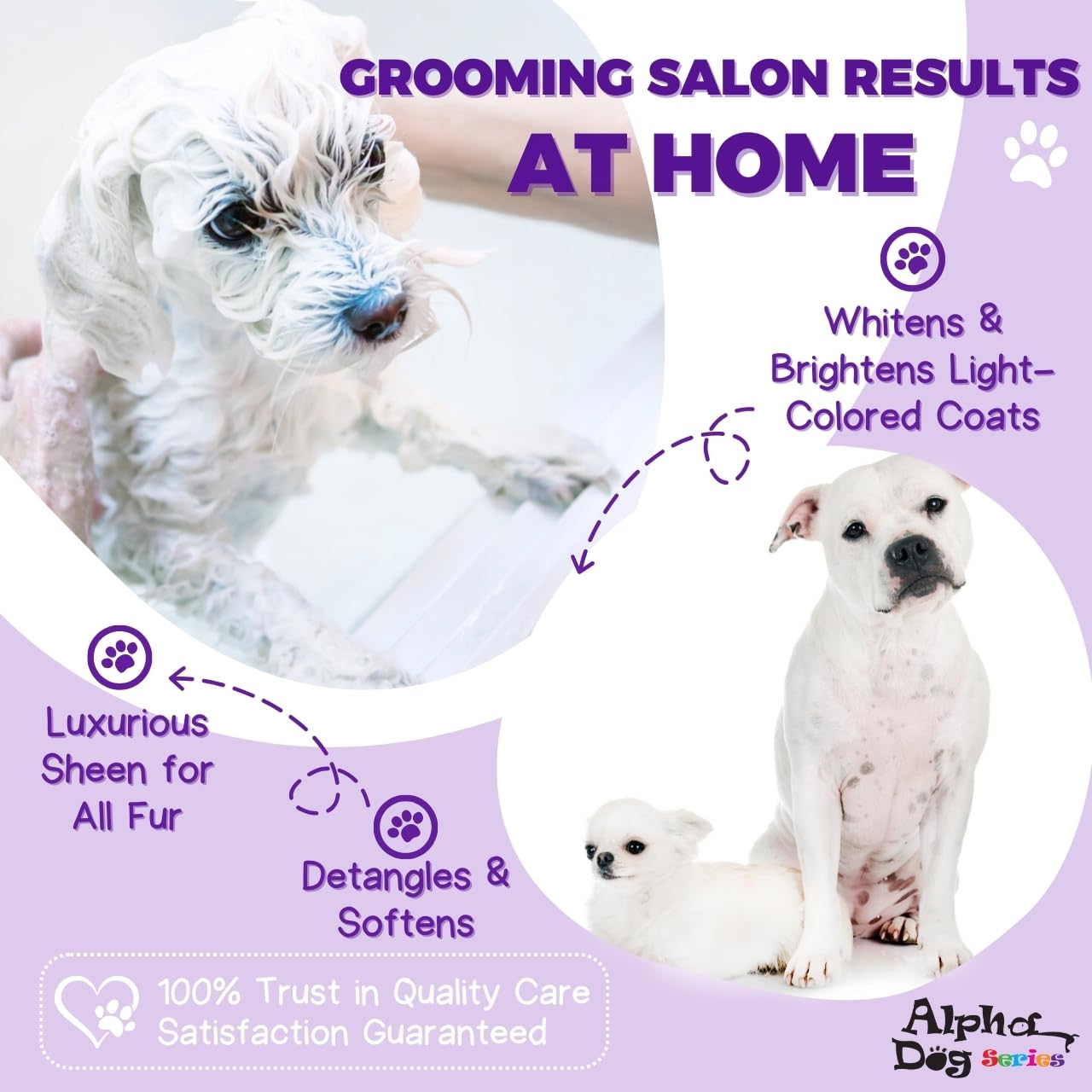 Alpha Dog Series Bright White Natural Whitening Dog Shampoo and Conditioner for Dogs with Aloe Vera, pH Balanced Dog Shampoo and Conditioner Set, Tear-Free for Sensitive Skin 26.4 Oz (Pack of 2)